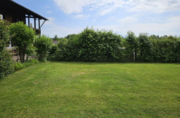 Rasenplatz hinterm Haus